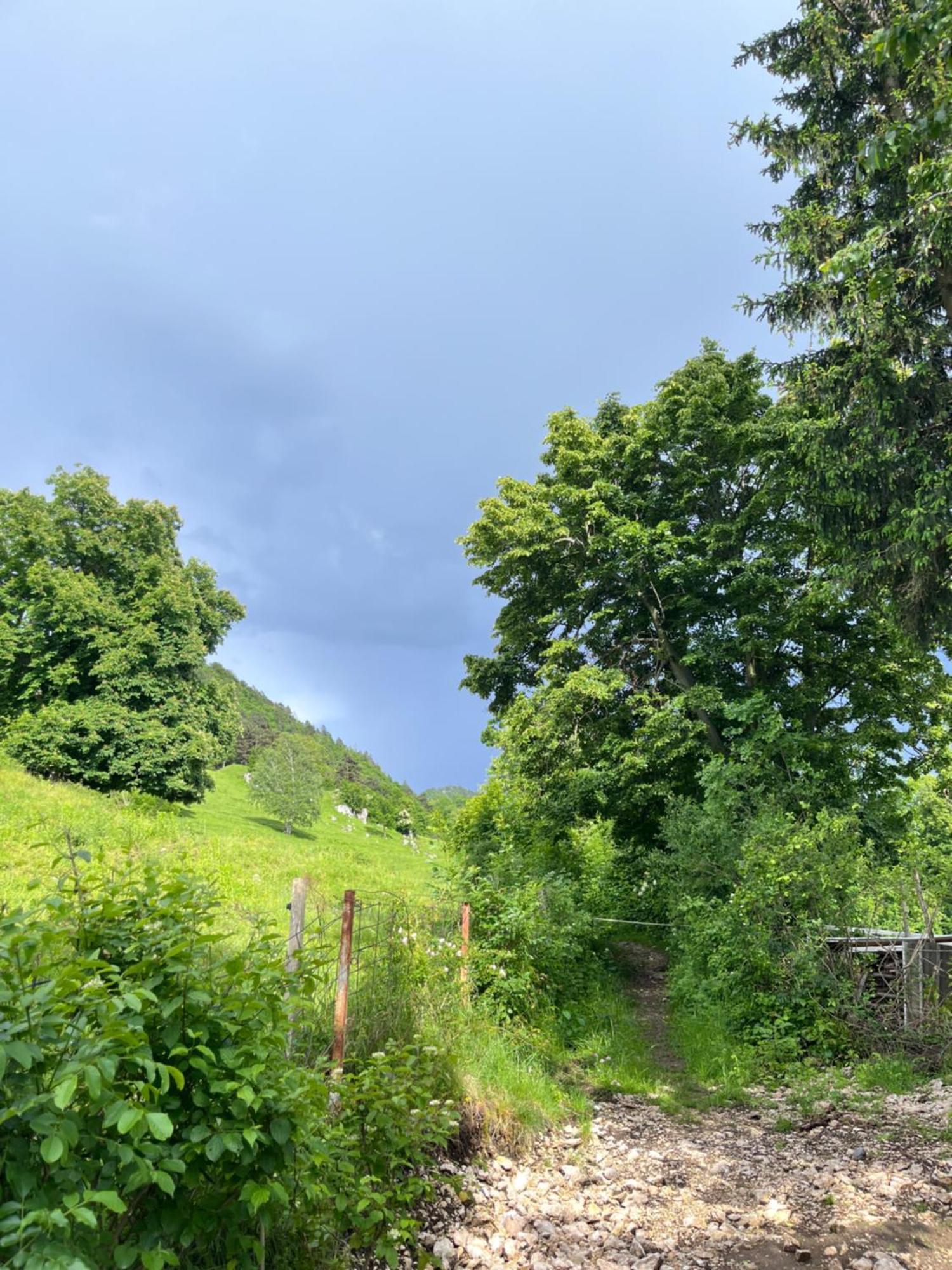 Cottage Zirovnica Buitenkant foto